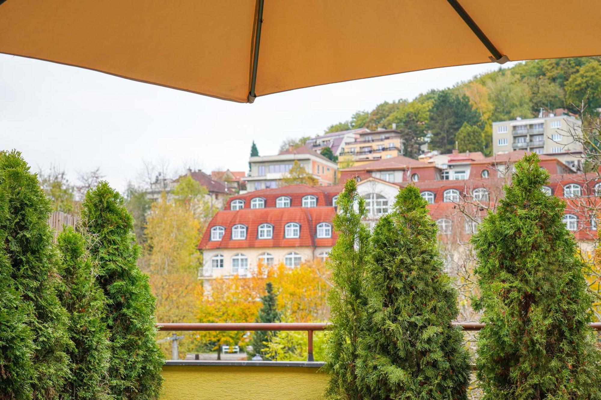 Gizela Appartement Luhačovice
